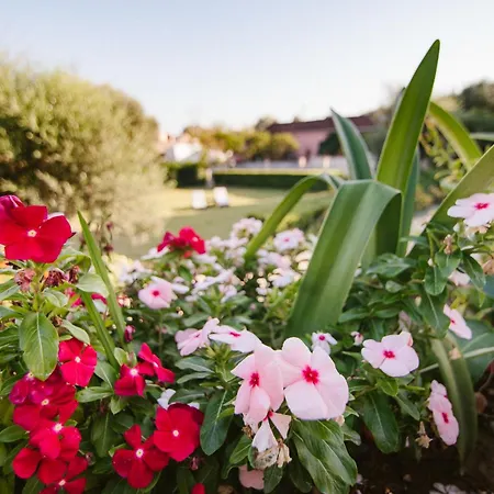 Apartament Dimoulias House *