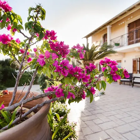 Διαμέρισμα Dimoulias House *